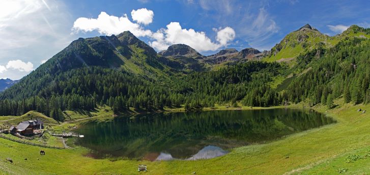 Norway Spruce and Larch Forest in Austrian Alps, https://ec.europa.eu/jrc/en/research-topic/forestry/qr-tree-project/norway-spruce